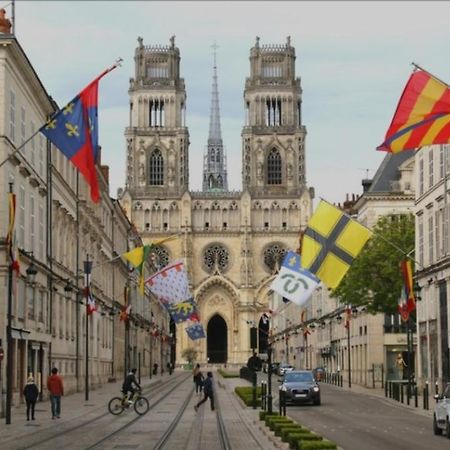 Studio Rue Pietonne Orléans Eksteriør bilde