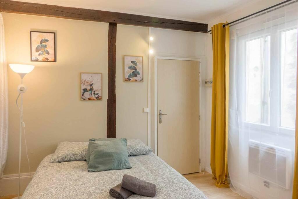 Studio Rue Pietonne Orléans Eksteriør bilde